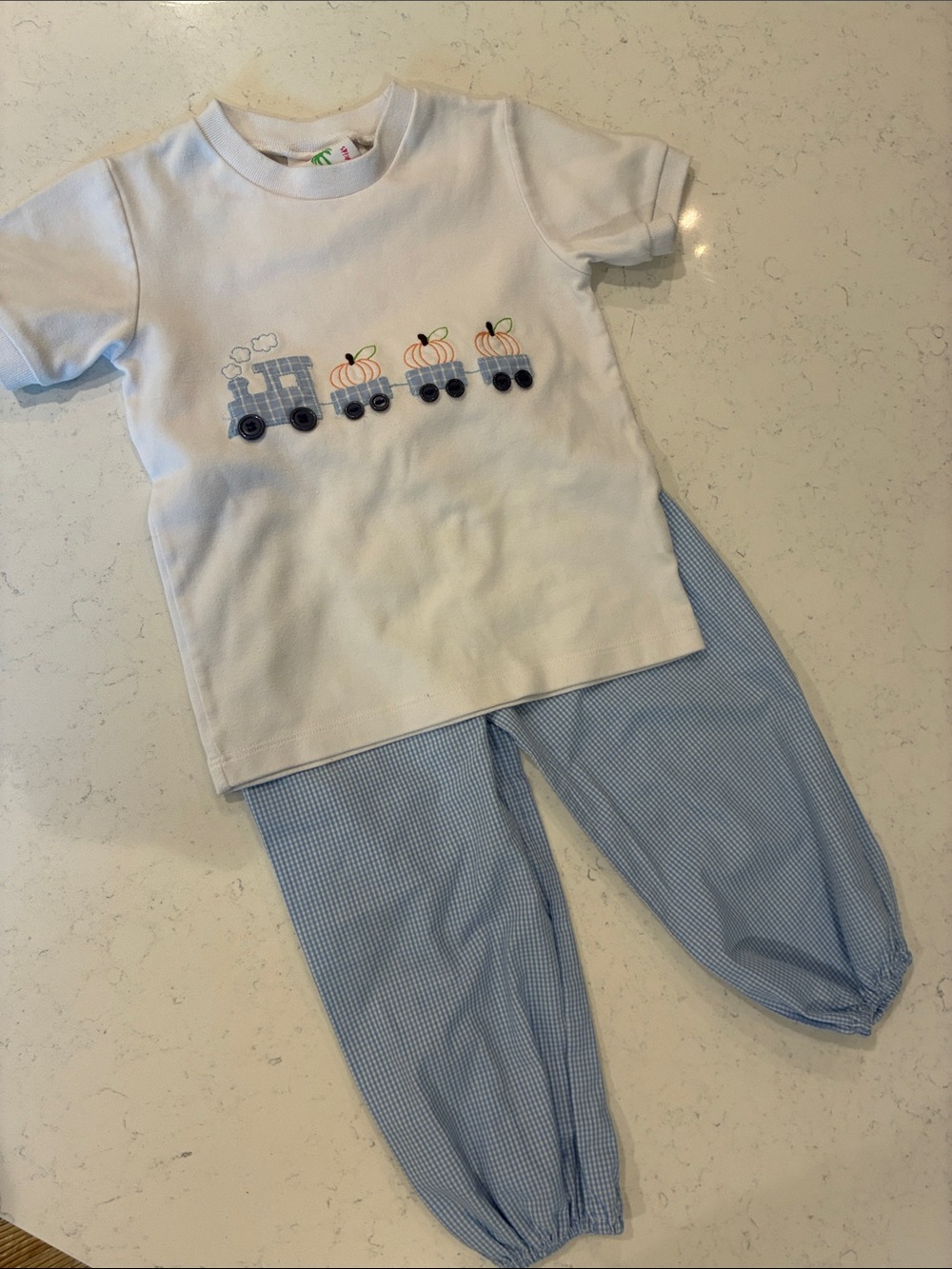 Charming Train and Pumpkin Appliqué Matching Set with Blue Gingham Pants